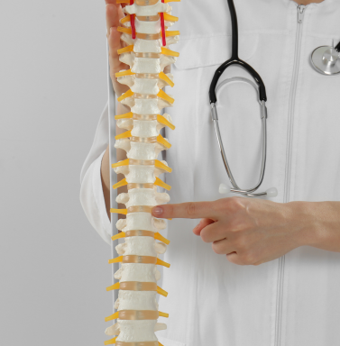 goldilocks window for spine care